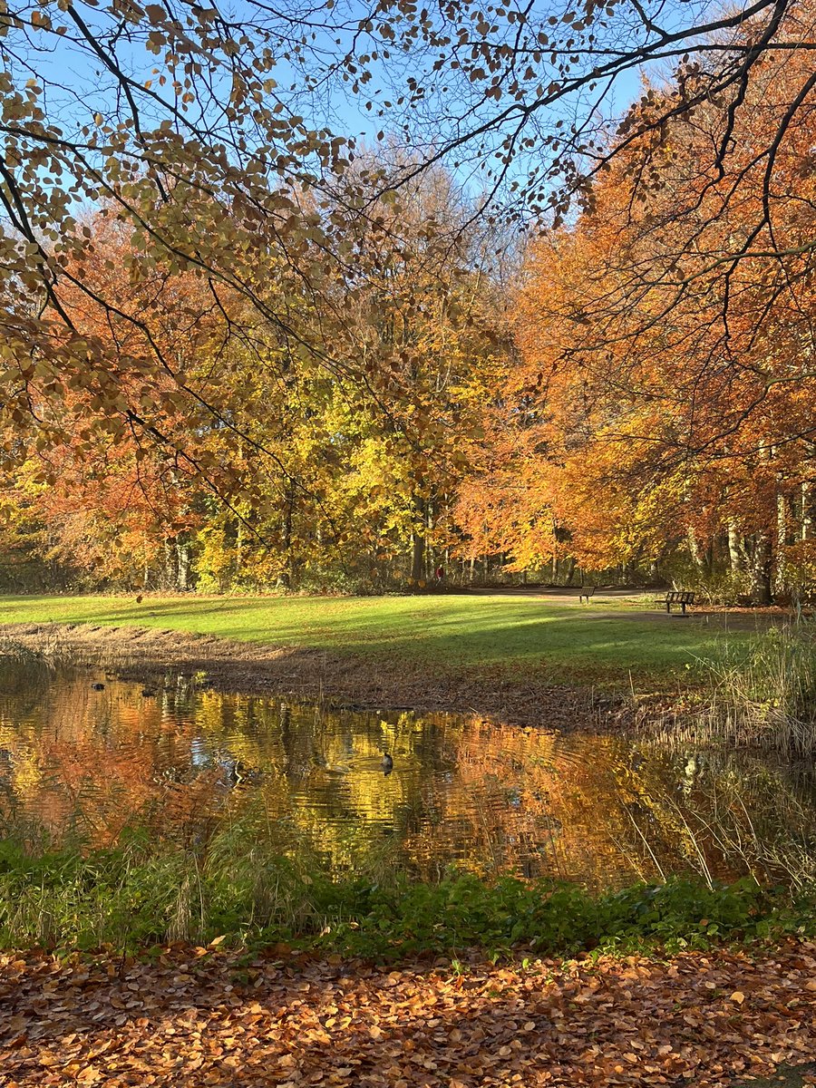 bartvrolijk's tweet photo. #HaagseBos https://t.co/gBWQSmWOnk