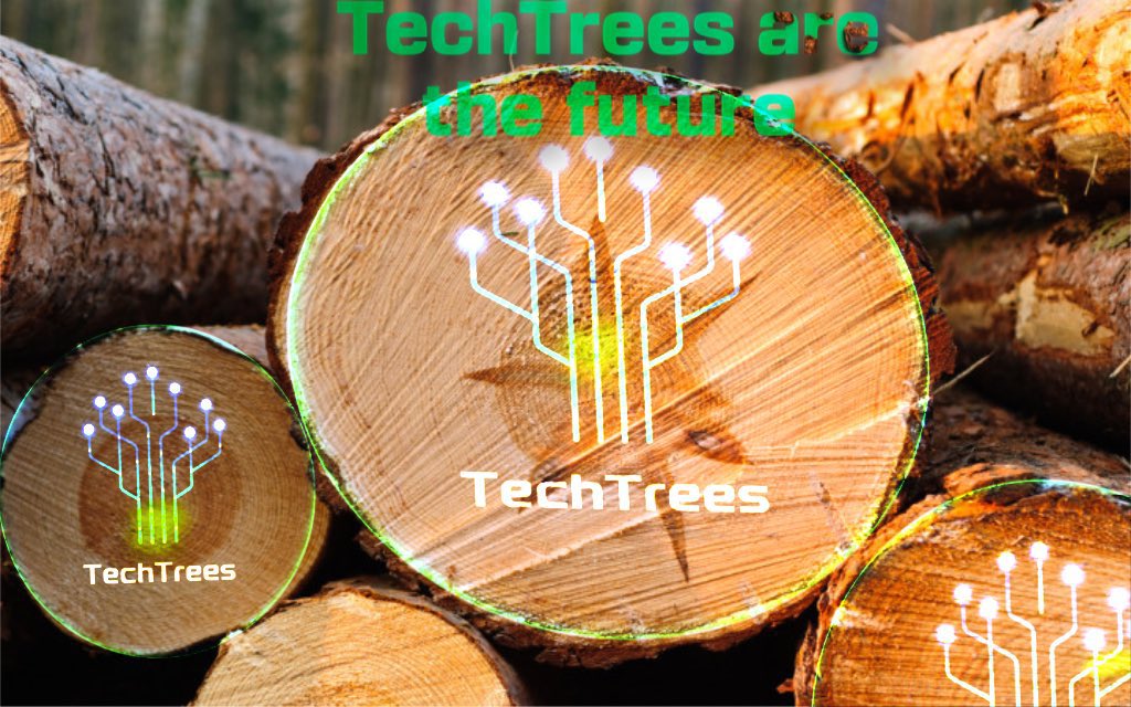 Xsarrhh's tweet photo. Be guidance of $TTC to fly high and make it to the top of highest mountain to reach yout unlimited dreamπ²π²π²
There are no secrets to success except this one. #TechTrees could become the legacyπ―
#TechTress $TTC https://t.co/uYVZvl41IV