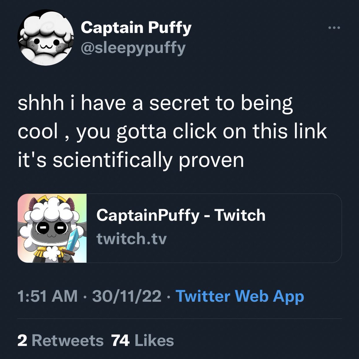 Captain Puffy Updates tweet media