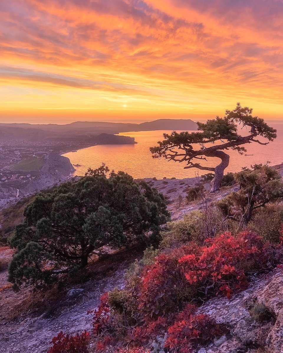 Pashenichev's tweet photo. Sunrise overlooking the city of Sudak.
#sunrise #crimea #canon #natgeo #ArtistOnTwitter #fanart #landscape #NaturePhotography #NFTCollections #NFTCommunity #OneLove #tourism #travelphotography #travel #nature https://t.co/8TO9YE7n3g