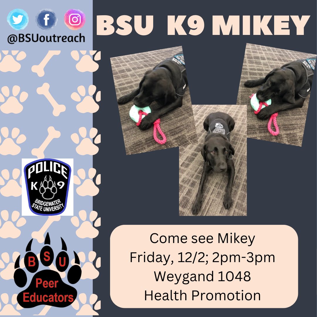 BSU Student Success tweet media