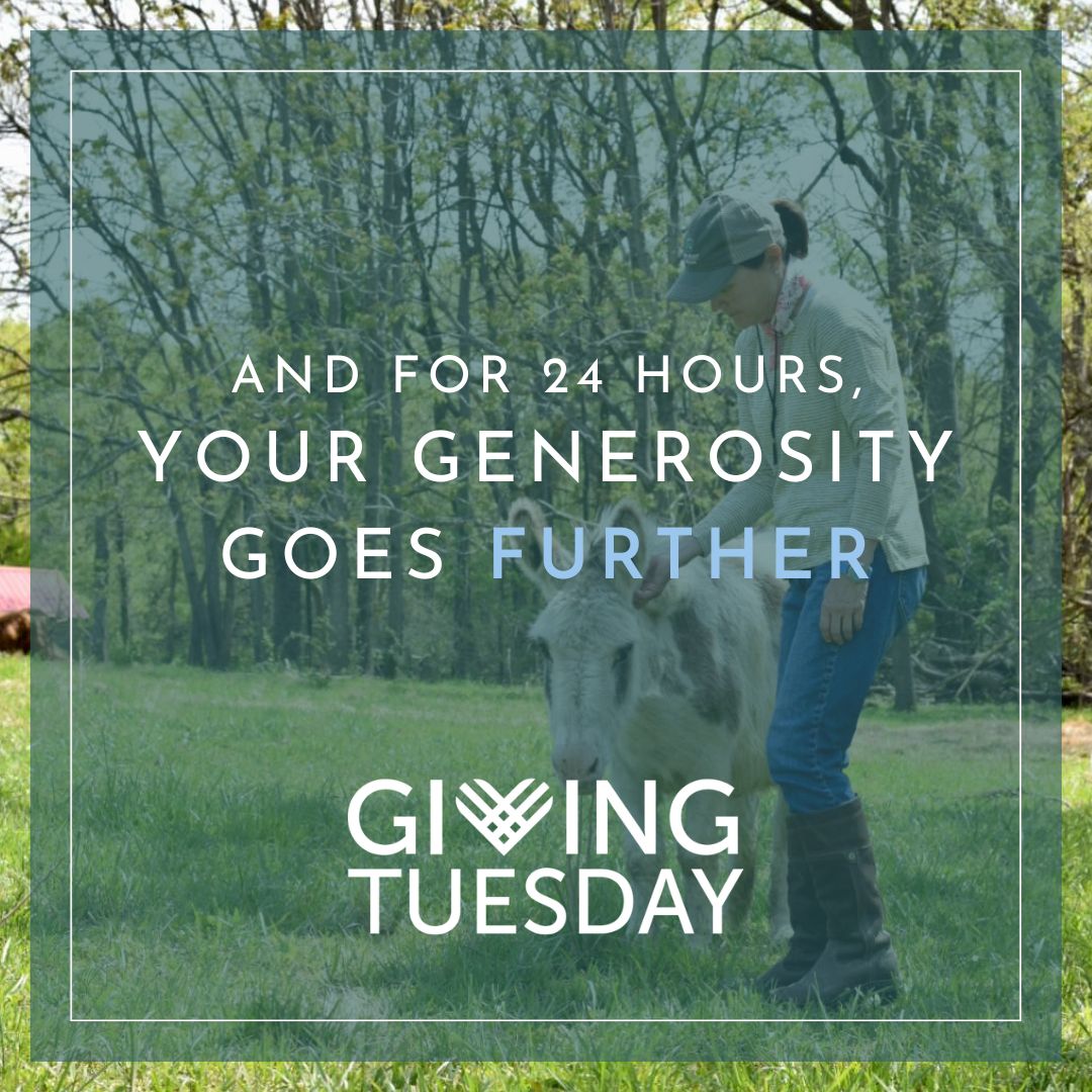 LandTrustTN's tweet photo. We work to protect places we can't afford to lose, so open spaces stay open spaces, forests stay forests, and parks stay parks - forever. It's a #GivingTuesday gift that lasts forever: https://t.co/fwo20DpJSL Plus, a donor has pledged $100 for every new monthly donor today! https://t.co/ckpl1CusPP