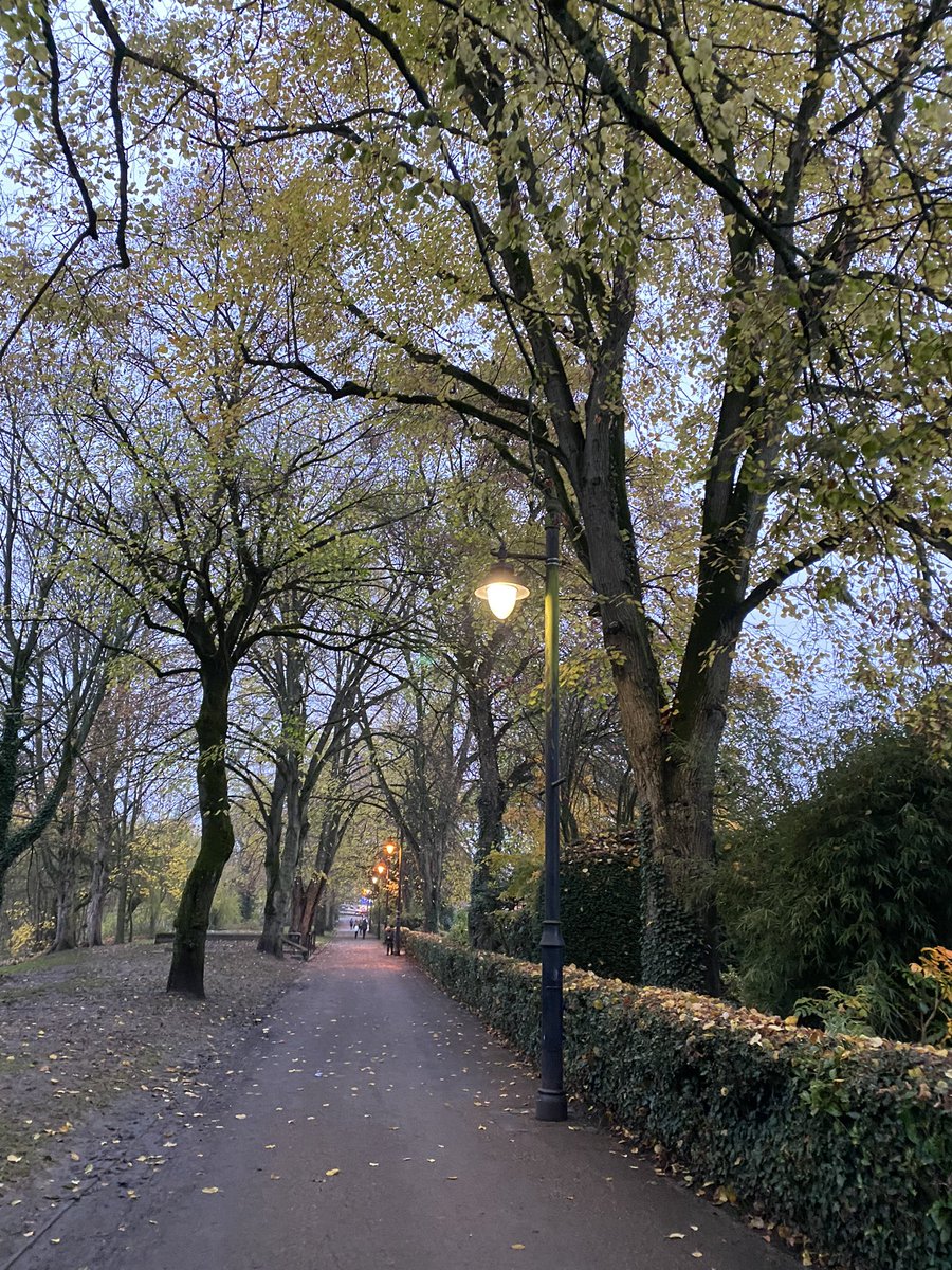 seaparkin's tweet photo. Walk to get my car After £££ spent fixing 😩 at least the trees had some gold on them…
Next sale booked is @wirksworthTC Inside market 4th Dec MemorialHall &amp; selection also over weekend @pitchblue22  #trees #matlock #Derbyshire #wirksworth #landscape #painting #watercolour #art https://t.co/ZAUKOSvw0r