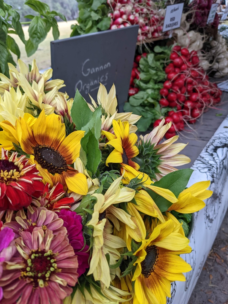 In recent months, we’ve seen food costs rise by more than 10%, and many of our most vulnerable neighbors feel the burden. We ask for your support in helping to ensure our fellow Savannahians do not have to decide between food or rent. 

forsythfarmersmarket.com/give