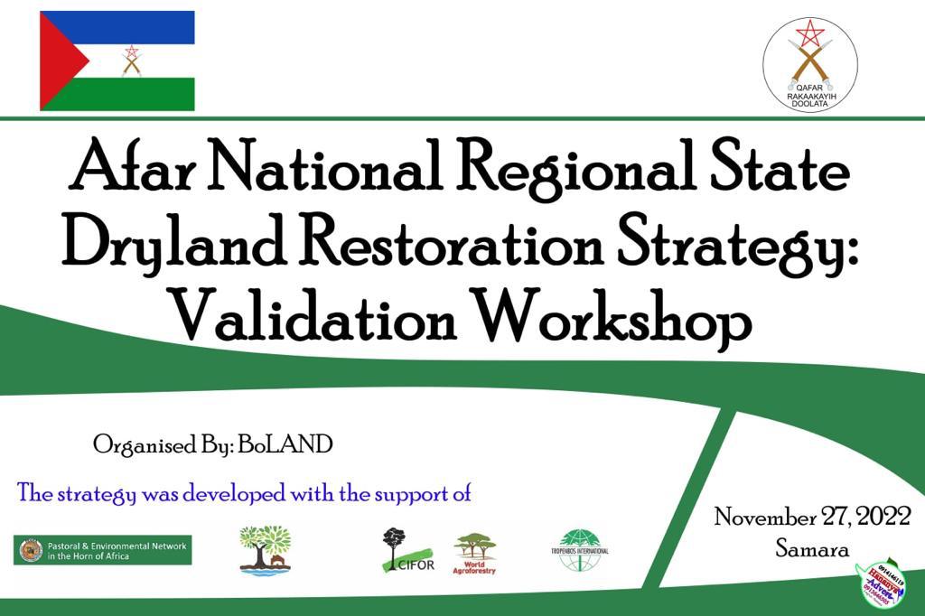 penhasom's tweet photo. PENHA-ETHIOPIA and @Tropenbos  Dryland Restoration Project, Workshop on Dryland Restoration Strategy in Afar state of Ethiopia. https://t.co/f75LyW5YJM