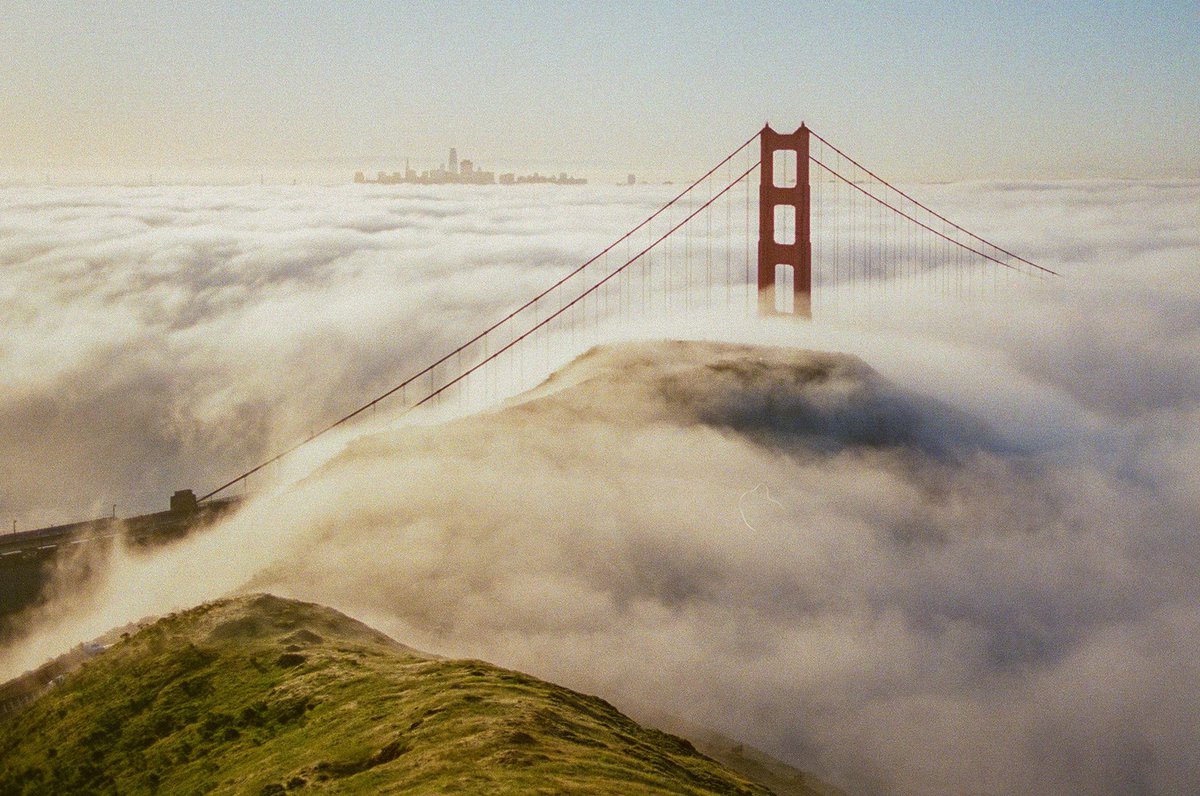 A study of green on film 🎞