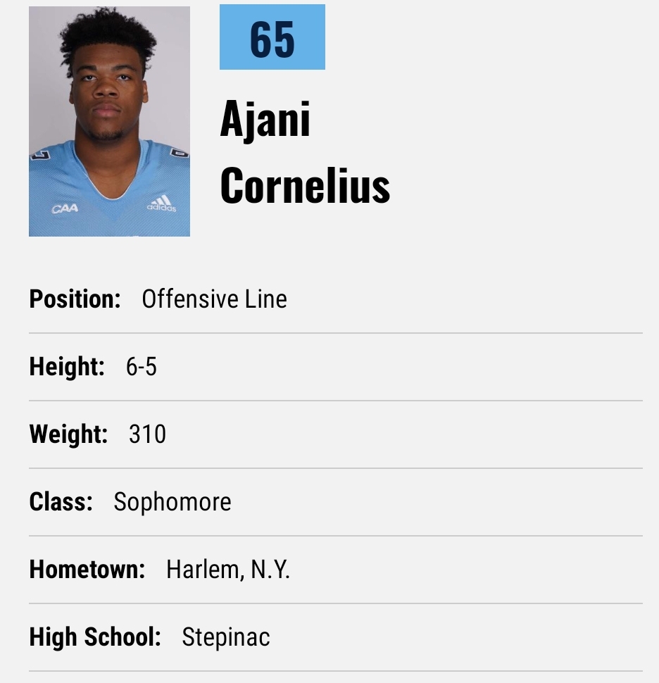 FarrellPortal tweet media