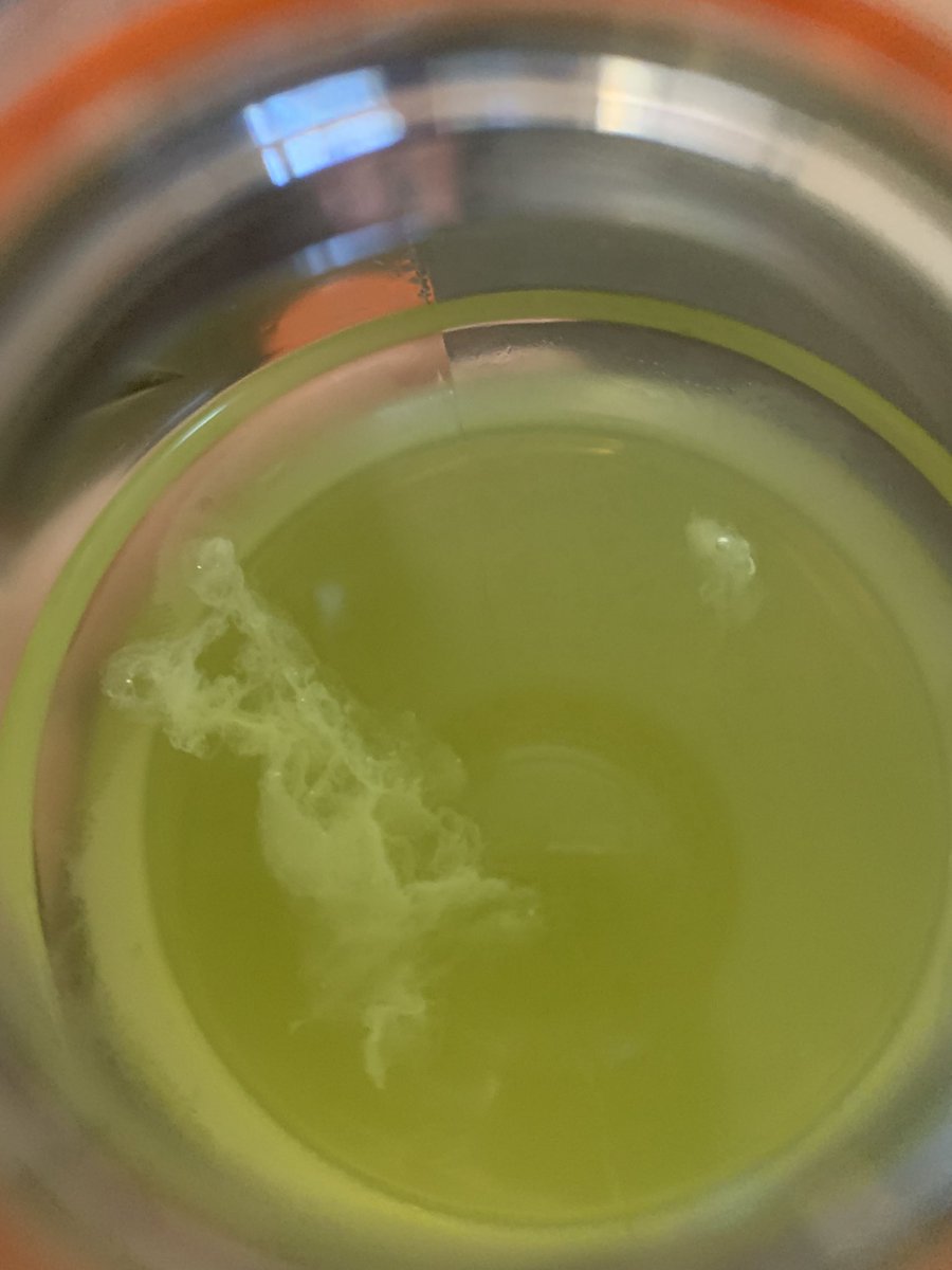 Jabooayres's tweet photo. @Gatorade I’m disgusting whatever this is inside my drink…. https://t.co/POTfcKgMKG