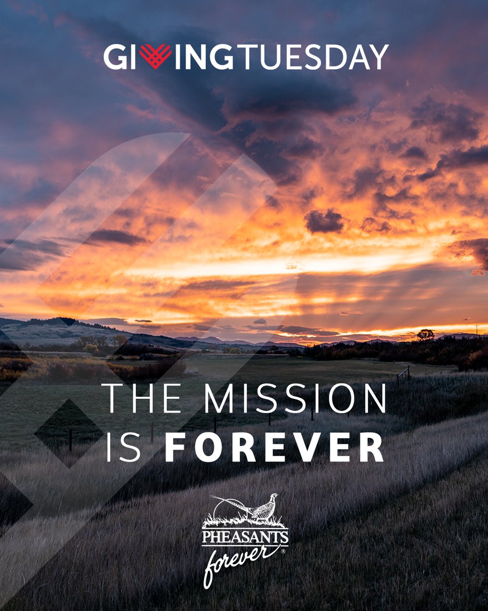 The mission is FOREVER. The word is in our name: Pheasants Forever. Quail Forever. Forever means the work we do together. Will you help us keep going toward forever with a Giving Tuesday gift this year? Donate at the link below.

pheasantsforever.org/BlogLanding/Bl…