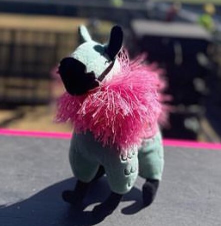 larrytsjwaffle's tweet photo. ๐ตHey, babe
We are missin your pretty face-ace
Will we get to see it today-ay-ay?
Fabllama gonna slay-ay-ay
๐๐๐๐๐ฆ๐๐๐
#discollama #warmllama #magentaprincess #stageleftdoris
๐ตA naughty llama behind a doh-oh-or
Magenta feathers on the floor-oh-or https://t.co/3dVj2t0XRg