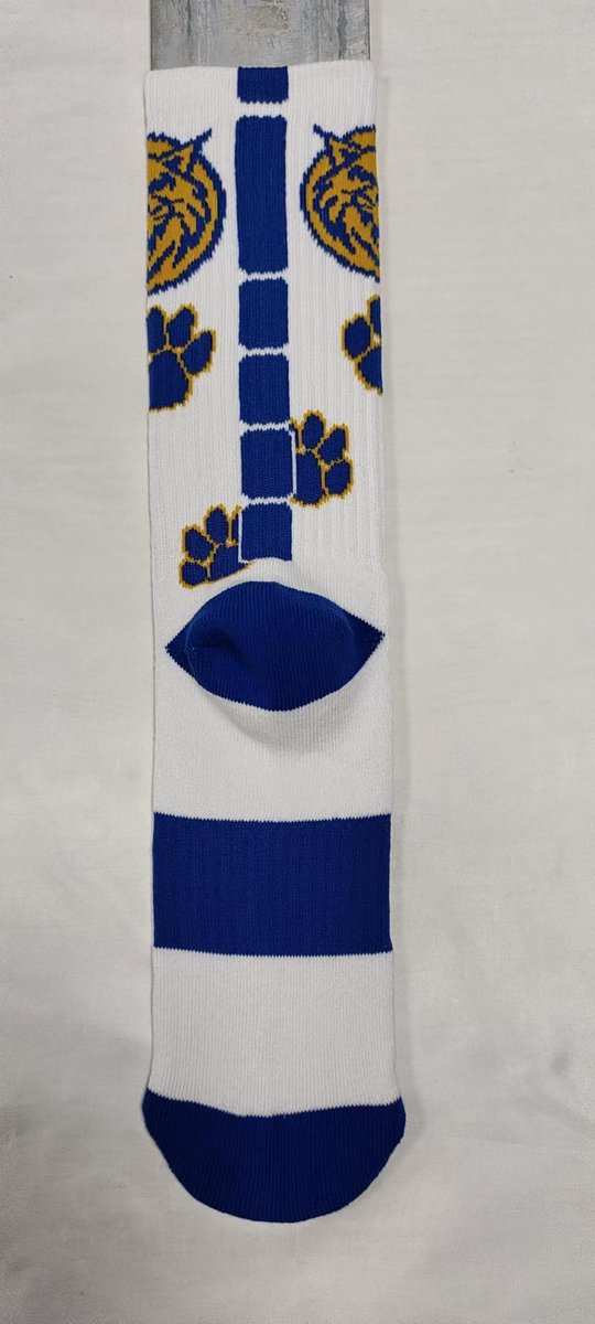 Lansing Middle School tweet media