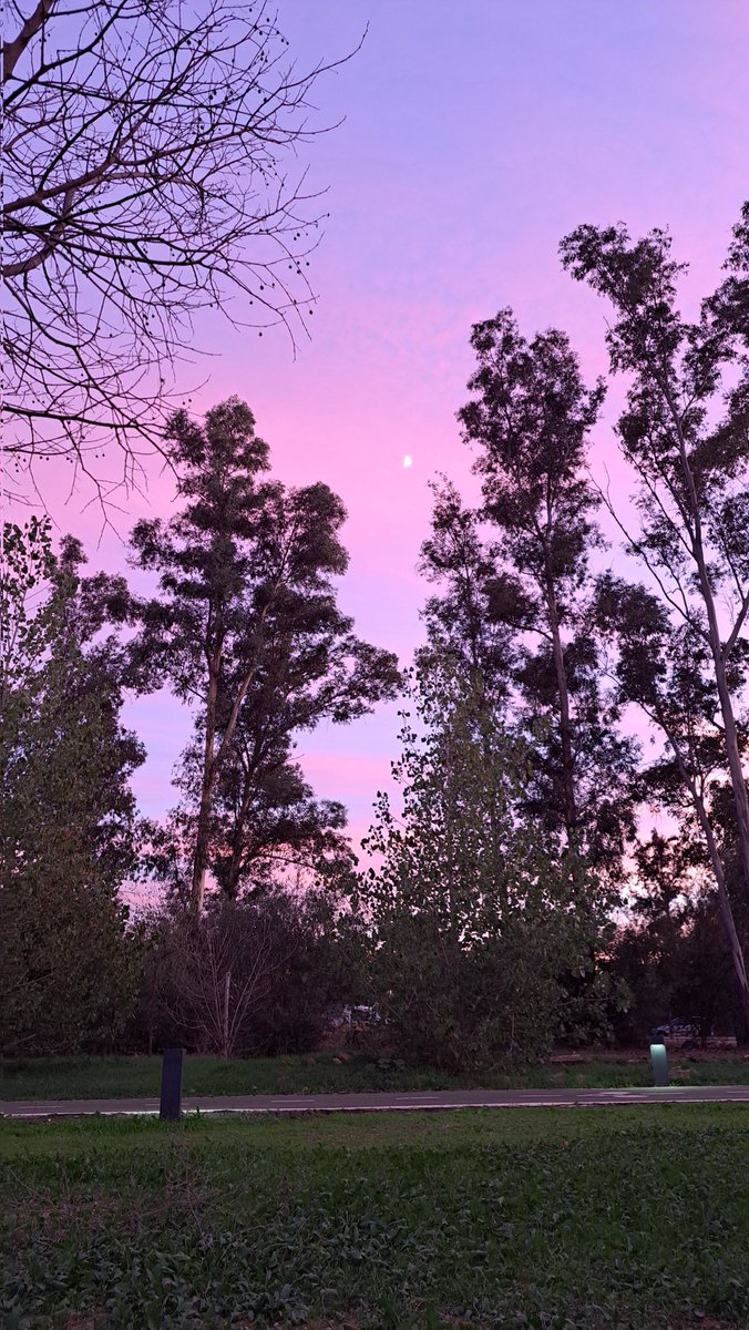 martastic_'s tweet photo. Atardecer en @pablodeolavide https://t.co/bZh2t41byw