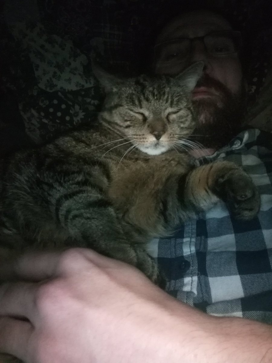 DavidCink86's tweet photo. Dnešek je vážně nějaký divný. Vždy když si chci odpočinout někdo zavolá že se něco děje.  Jako třešničku na dortu právě odvezli tu starší neteř na pohotovost. Přeji všem dobrým lidem a zvířátkům krásný večer a klidnou noc. Buďte na sebe vzájemně hodní a mějte se rádi👋🙋😇 https://t.co/rWrM4hobOg