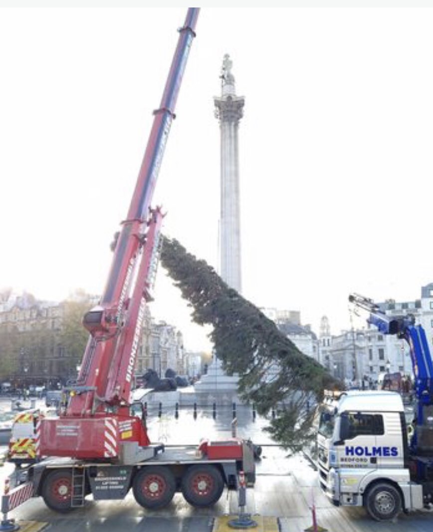 Tore Haug tweet media