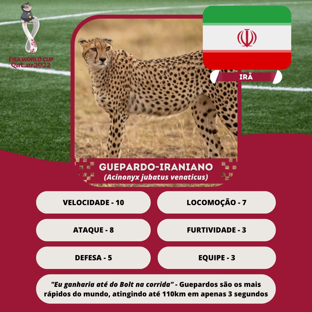 Hoje às 16h tem EUA x Irã na Copa do Mundo! Ou melhor, Bisão Americano vs. Guepardo-iraniano, vocês estão preparados para essa batalha de gigantes mamíferos?