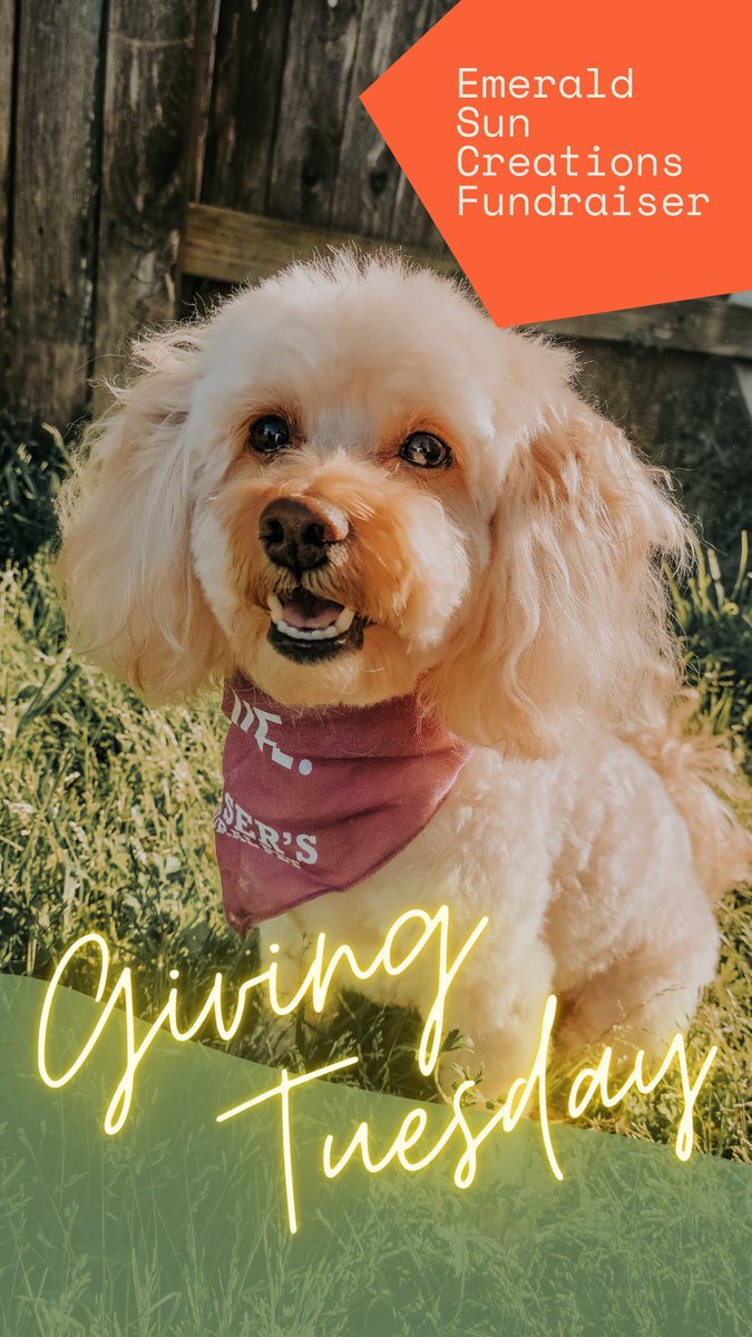 EmeraldSunLove's tweet photo. 'Tis the season for giving and this Giving Tuesday we're raising money for the wonderful nonprofit, @SoiDogPhuket! Help us raise some funds for this wonderful foundation that is dedicated to helping animals in need! Click the IG link below to donate! 🥰
https://t.co/HE4pgKcfr5 https://t.co/bVZ4eIwKDR
