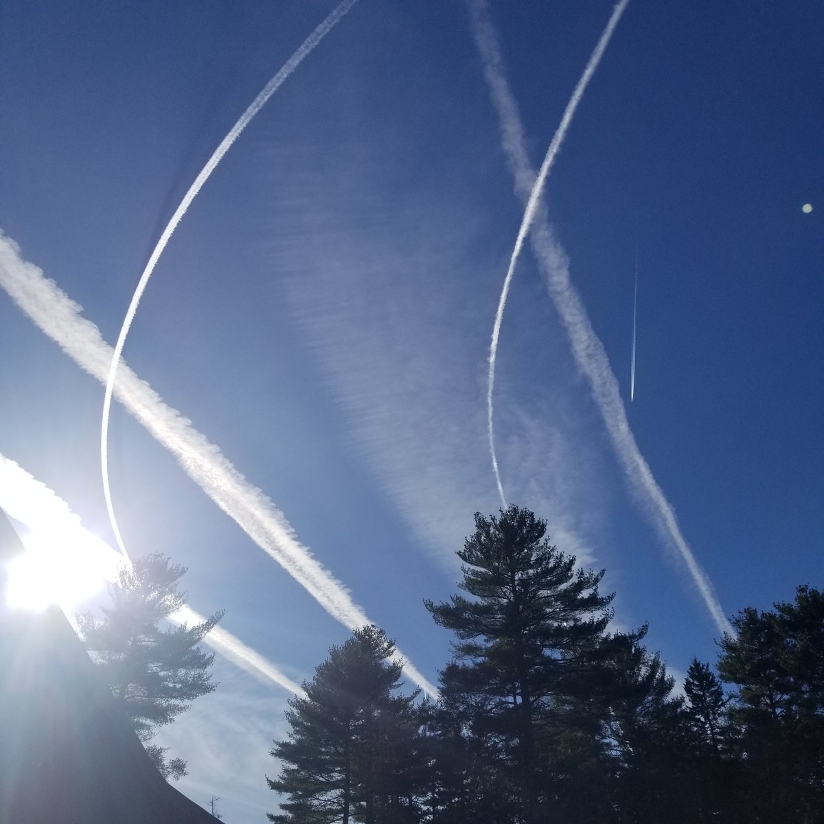 MerleDevlin's tweet photo. It's a beautiful chemtrail morning here in Hancock County, Maine. 
#chemtrails 
#dogsoftwitter https://t.co/0TN74bxtRT