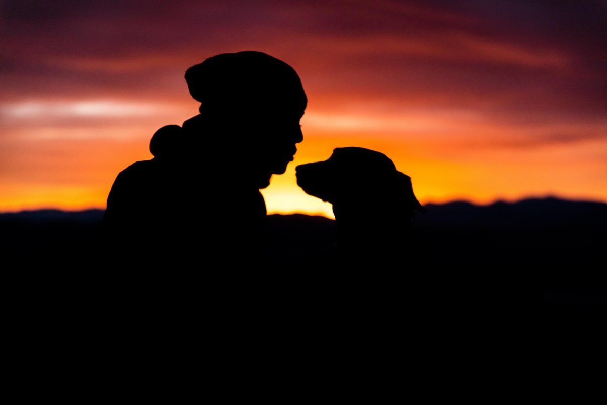AnimalandInter1's tweet photo. In the Canadian shelter sample of our research, those who reported animal abuse were more likely to report severe psychological, physical, &amp; sexual victimization, compared to those whose partners did not abuse their pets 
 #domesticviolence #interpersonalviolence #violencelink https://t.co/kOdDR3RC1Y