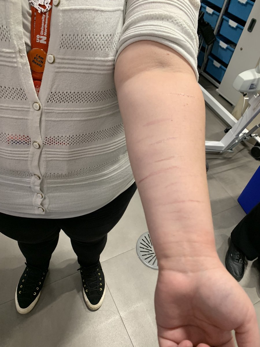 Shev O'Brien tweet media