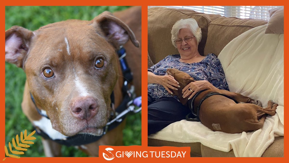 Binky showed us that simple acts of kindness can make a life-changing difference. So many more neglected animals in our community are waiting for help… Will you show them kindness today? All donations made on this #GivingTuesday will be doubled, up to $35,000!