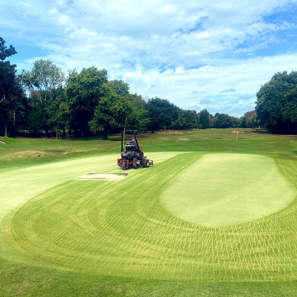 A double overseed with Tee-2-Green Crystal BlueLinks looks spectacular. Be sure to continue sharing your progress photos with us. We love seeing them!
📷 <a href="/LPGCcmanager/">LPGC course manager</a>