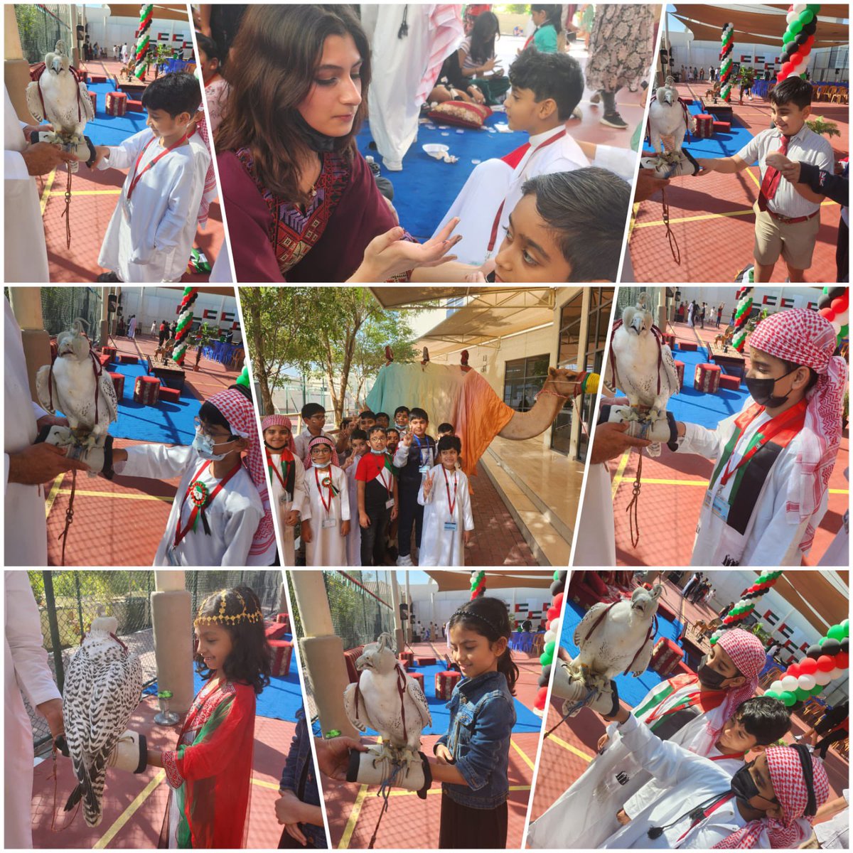 NMS Arabic primary(G1-G2) tweet media