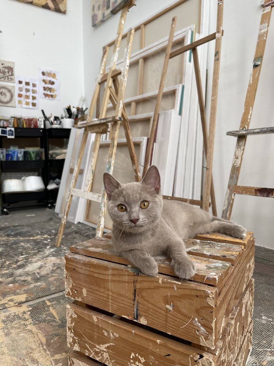 INDRΛ tweet media