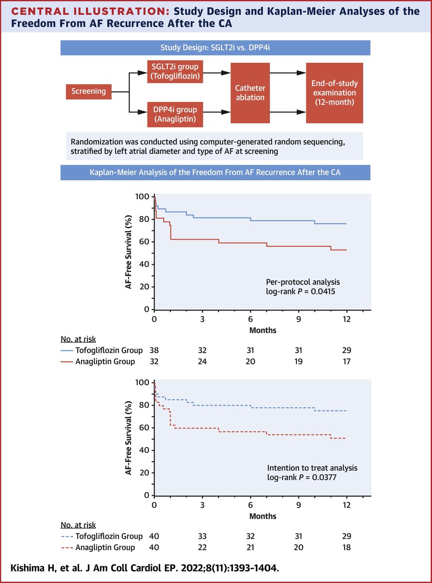 Dr. Hideyuki Kishima, et al. found that #SGLT2 inhibitors suppressed #AFib after #ablation in #diabetes mellitus patients. #SGLT2i might serve as an adjunct treatment option to catheter ablation for AF.

Read the study in #JACCCEP: bit.ly/3ipU4Cb #Epeeps #CardioTwitter