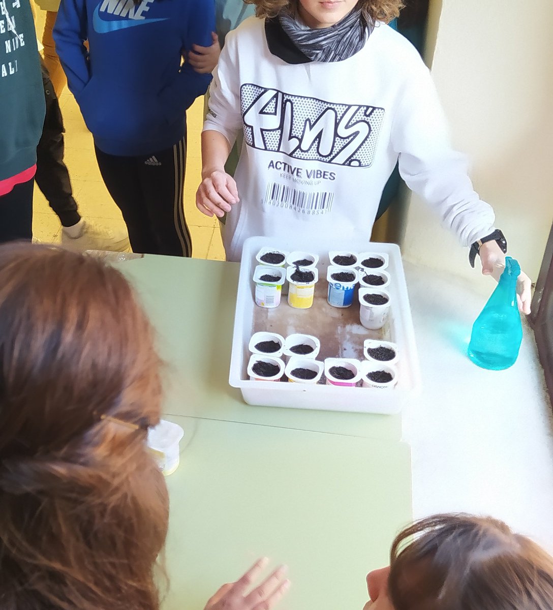 Twitsabel2's tweet photo. Hoy ha arrancado #HuertIsabel con 1°D y 1°B. Este curso hemos sembrado antes 😉🌾 https://t.co/eQ7KlFYXLB
