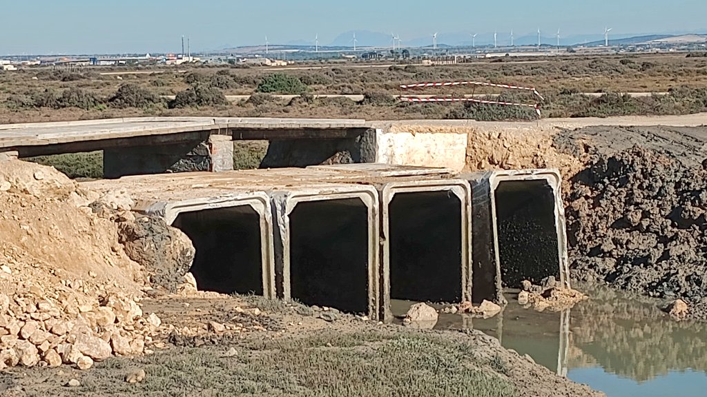 AntonioBouza's tweet photo. Hablando de puentes de La Isla...
📷 Desmontaje del "puente" sobre el caño Carrascón, junto al de Lavaera.
La estructura se levantó para facilitar el paso de maquinaria en la obra del sendero #SaFernando - #Chiclana
📍 Parque Natural Bahía de Cádiz.
Marismas del Sancti Petri. https://t.co/u84C0gRLl8