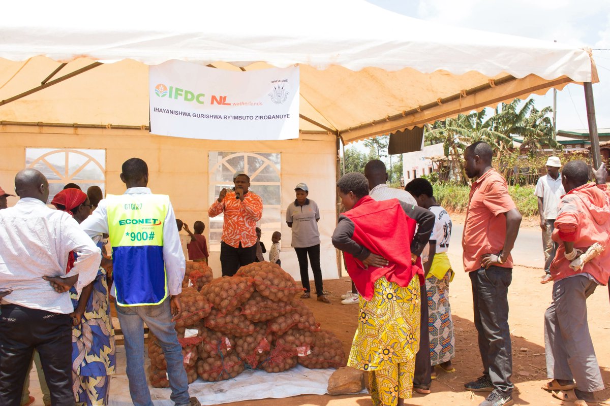 Engaging with #farmers helps us to focus better on our #PSSDproject and develop #Sustainable solutions for our #RuralFarmers in #Burundi Discover more about the project here👉:ifdc.org/projects/priva…