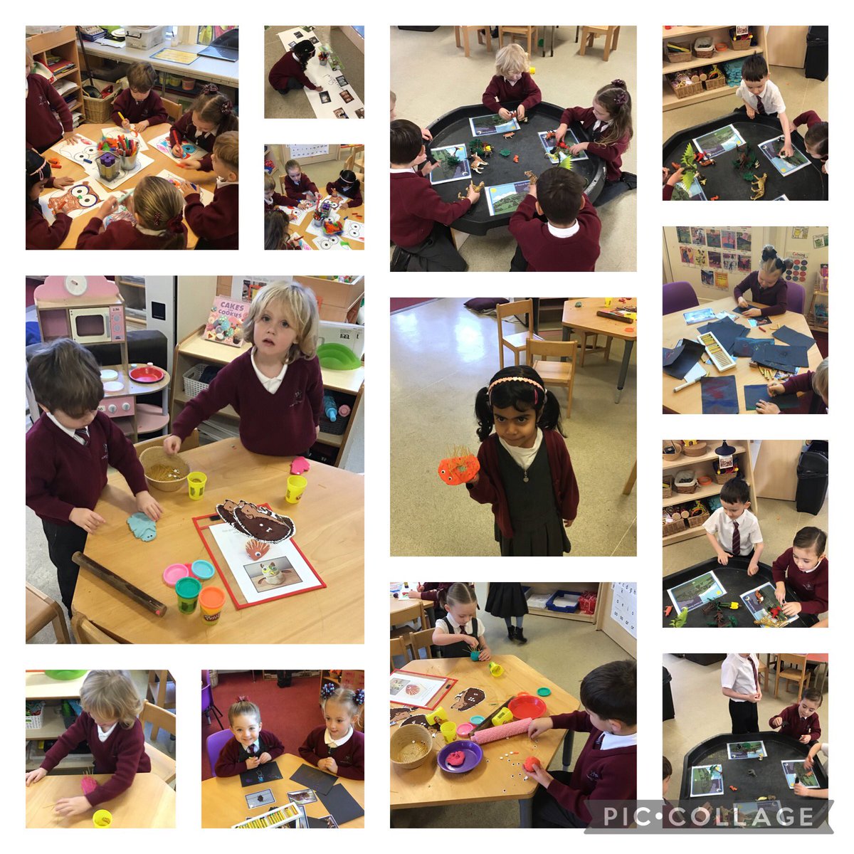 NormanPannellR's tweet photo. We have also been busy learning about nocturnal animals, practising our phonics and reading our new text, Owl Babies 🦉 🦉 #NPPSLiteracy #NPPSScience https://t.co/5wbOyY6KhZ