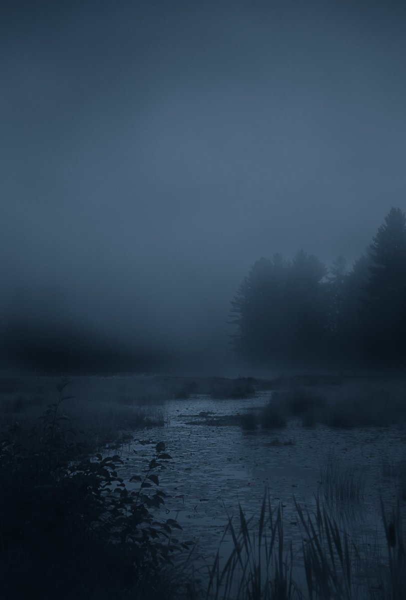 LokiHighlock's tweet photo. the silence that comes with fog https://t.co/oS1Cp1Ndob