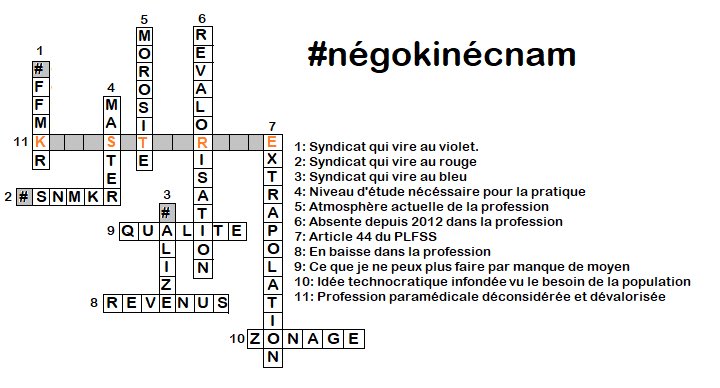 PToffanelli's tweet photo. @Elisabeth_Borne @DeputesRE @DeputesDem @Horizons_AN @EmmanuelMacron @franckriester @olivierdussopt @YaelBRAUNPIVET @auroreberge @SylvainMaillard @jp_mattei @LMarcangeli Ah la retraite. La seule choses que les kinés retraités pourront faire ce sont des mots croisés. Un petit coup de main pour le numéro 11 Madame la première Ministre ? #alizé #ffmkr #snmkr #négokinécnam https://t.co/4vLJ4jnXUs