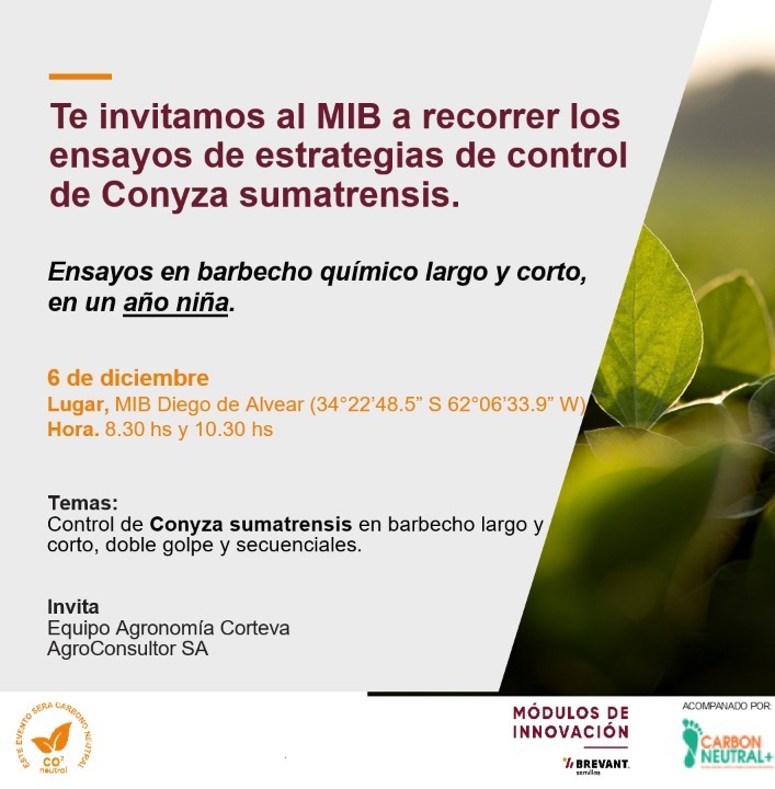 AgroconsultorSA's tweet photo. En una semanita nos encontramos en el #MIBDiegoDeAlvear para recorrer ensayos de control de #Conyza s.🌿🚫. 

¿Vas a venir? 

@BrevantSemillas #RamaNegra #AgriculturaConTodo https://t.co/VKpDCrZPuh