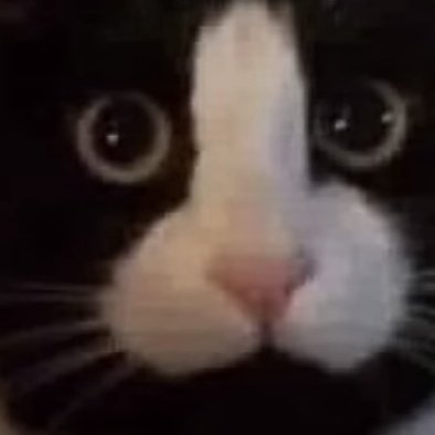 DaShitBlueBerry's tweet photo. That looks like a peni-
And goodnight https://t.co/mWToMmiYNx