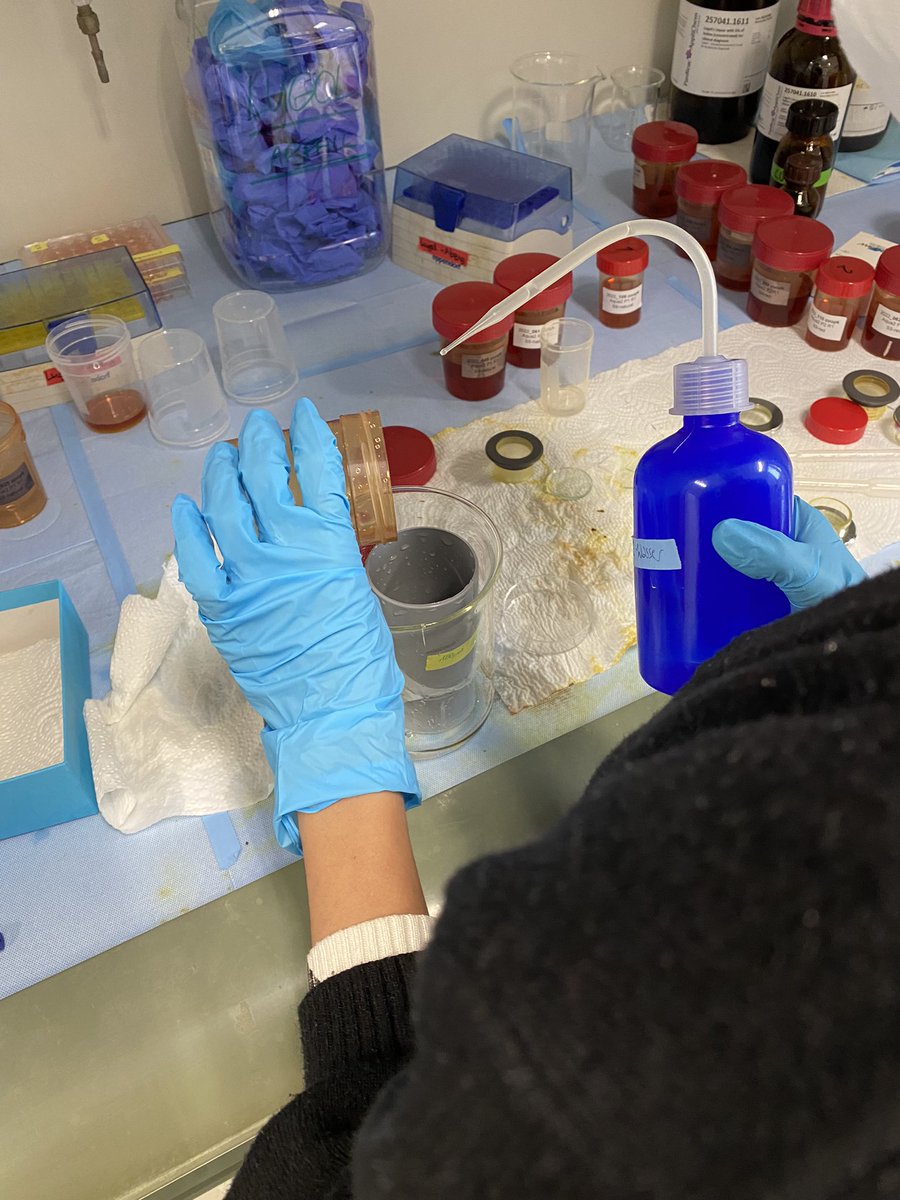 hhuong152's tweet photo. It was my pleasure to access a fancy mesocosm facility in @Planktotrons to work with @MarenStriebel, @GerhardMiriam, @PabUrrCor and Maren's team. Many thank @AnikaHappe to help me during my trip. Last thank to the WHV housemates @MariaDambacher, @VirFleitas,@Alice_Deiss. #20days https://t.co/cmrpsJBIv9