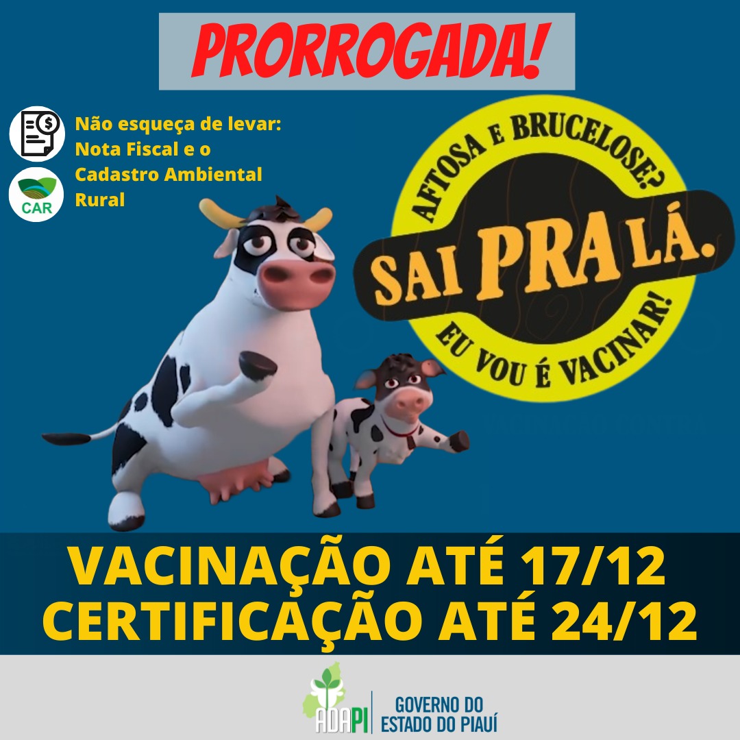 adapi_pi's tweet image. Já tava aperriado pensando que não ia dar tempo?
Campanha foi prorrogada mas não esmoreça e agilize sua vacinação e certificação não deixando para última hora.
#adapi #piauilivredeaftosa #brucelose