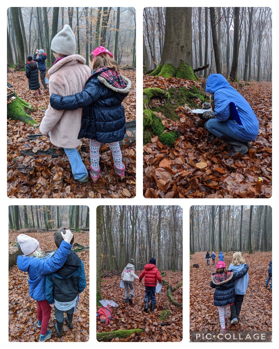 Chris Thompson (@mr_c4elementary) on Twitter photo "Open your eyes and look in the mirror" - using a Mirror Walk to have learners build connection with the natural world and change perspectives today in G4 <a href="/FIS_School/">Frankfurt Int School</a> #FISW . Big thanks to <a href="/inspirecitizen1/">Steve Sostak</a> & <a href="/Ivy_TwoBirdsEdu/">Ivy Yan</a> for the continued inspiration. "Open your eyes and look in the mirror" - using a Mirror Walk to have learners build connection with the natural world and change perspectives today in G4 <a href="/FIS_School/">Frankfurt Int School</a> #FISW . Big thanks to <a href="/inspirecitizen1/">Steve Sostak</a> & <a href="/Ivy_TwoBirdsEdu/">Ivy Yan</a> for the continued inspiration.