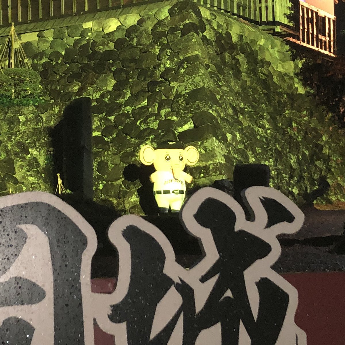 nexuselephants's tweet photo. 🐘福井県の観光地🟡

#丸岡城 に行ってきました！
坂井市丸岡町の小高い丘に建つ丸岡城は、天守が重要文化財の指定を受けている名城です🏯
丸岡城では毎日マッピングが行われてます✨是非、福井県に来た際は丸岡城に足を運んでみてください！

#福井県 #観光地 #観光名所
#丸岡城 #がんばれ丸岡RUCK https://t.co/UVT7gYlDw1