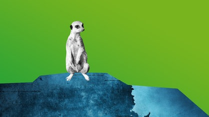 Mein <a href="/AG_KRITIS/">@AG_KRITIS@chaos.social</a> Interview in @wdr5 "Neugier genügt" von heute zum Thema"Wie sicher ist die kritische Infrastruktur?":

"Die Frage ist nicht ob, sondern wann Firmen, Kliniken und staatliche Einrichtungen Opfer von Cyberattacken werden könnten..."

#KRITIS
www1.wdr.de/mediathek/audi…