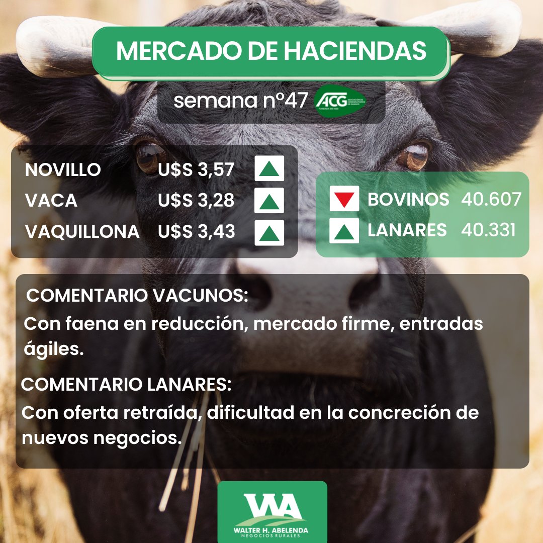 WALTER H.ABELENDA tweet media