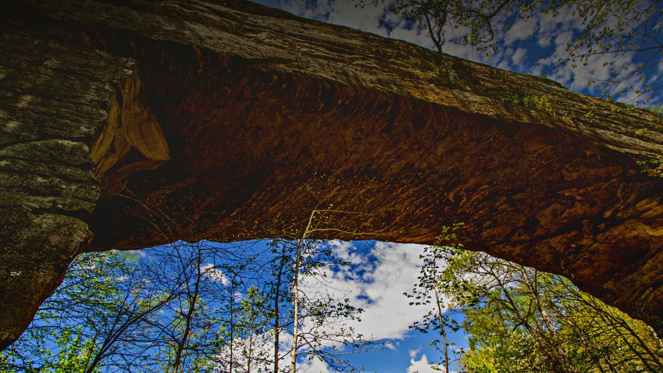 The Good Giving Challenge starts today! - mailchi.mp/kyrc/december2…