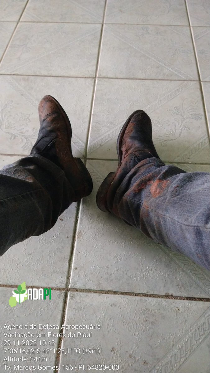 adapi_pi's tweet image. &quot;Aqui nois suja a bota de verdade!&quot;

Trabalhando pela sanidade agropecuária do Piauí.

#adapi