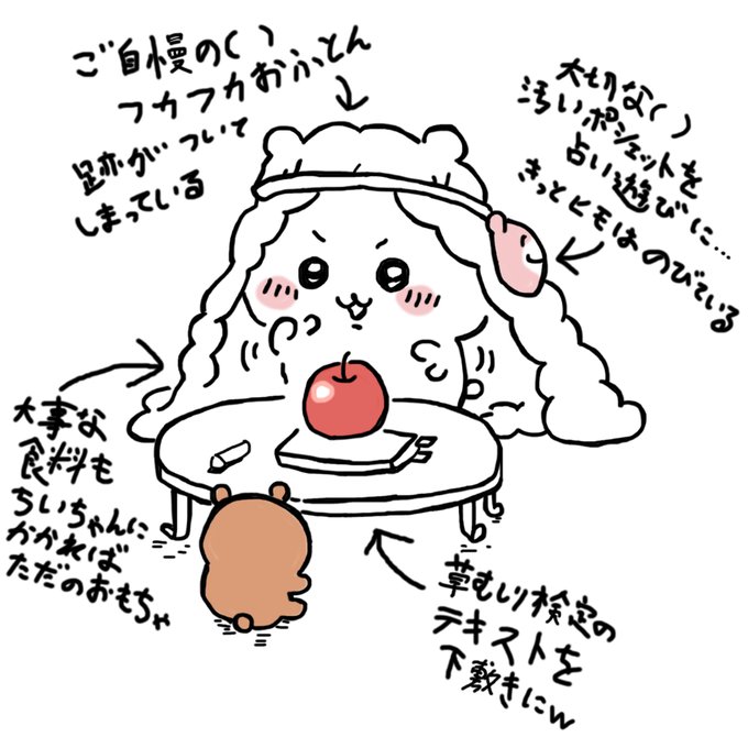 草検テキスト、オモチャにしたままだと思ってた 