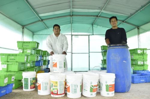 Agencia_Andina's tweet photo. Peruanos crean proteína de insecto amazónico que remplaza harina de anchoveta, maíz y soya 👉 https://t.co/GjDXo4dOpM

El emprendimiento Kawát genera conocimiento científico sobre propiedades nutricionales del insecto "Hermetia illucens"

✍ Por @MaryoriePM https://t.co/9Jc1dXfntT