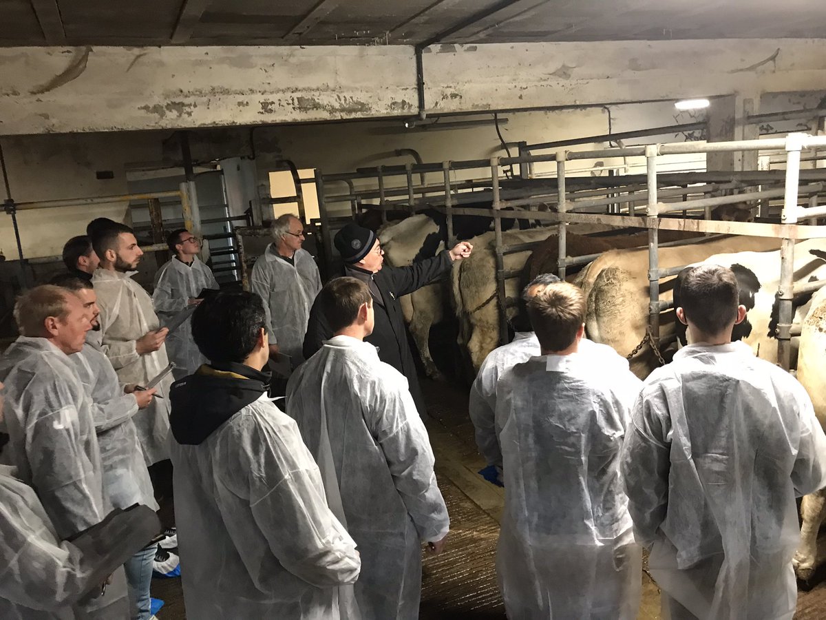 Interbevna's tweet photo. Merci à l’abattoir de Surgères et à #sibcas pour leur accueil pour une formation d’éleveurs au classement des carcasses de bovins #fnsea17 #normabev https://t.co/GS4cnjfifm