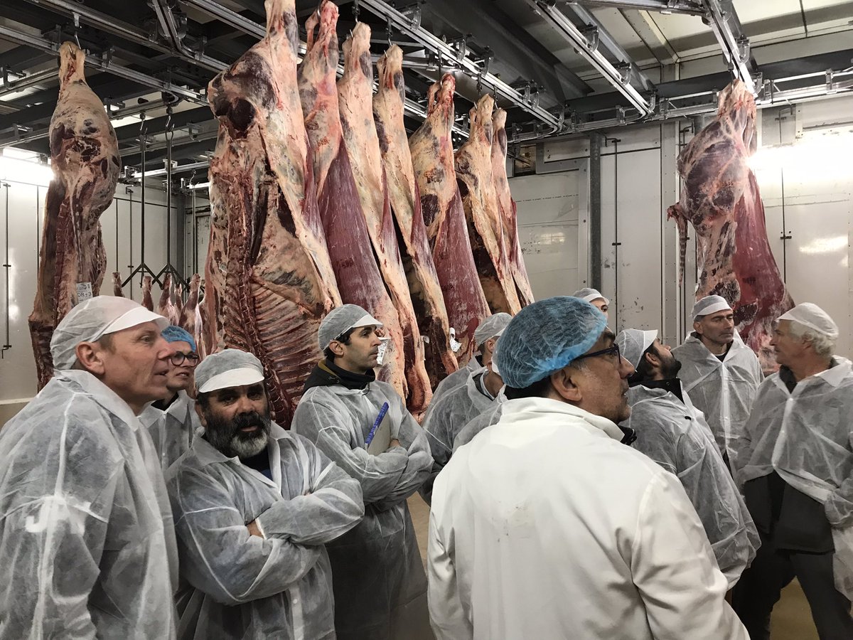 Interbevna's tweet photo. Merci à l’abattoir de Surgères et à #sibcas pour leur accueil pour une formation d’éleveurs au classement des carcasses de bovins #fnsea17 #normabev https://t.co/GS4cnjfifm