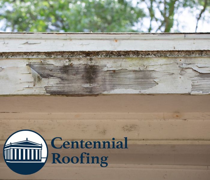 CentennialConTN's tweet photo. Is My Roofβs Fascia Rotted in Franklin? We inspect, repair, and replace residential and commercial roofs in Williamson County. #Roofer #Roofing #InsuranceRestoration #NumberOneGoalsYourCompleteSatisfaction #MiddleTN #LeadersYouCanTrust #Residential #Commercial https://t.co/gt76jmhJBK