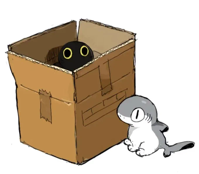 black sharkitty 